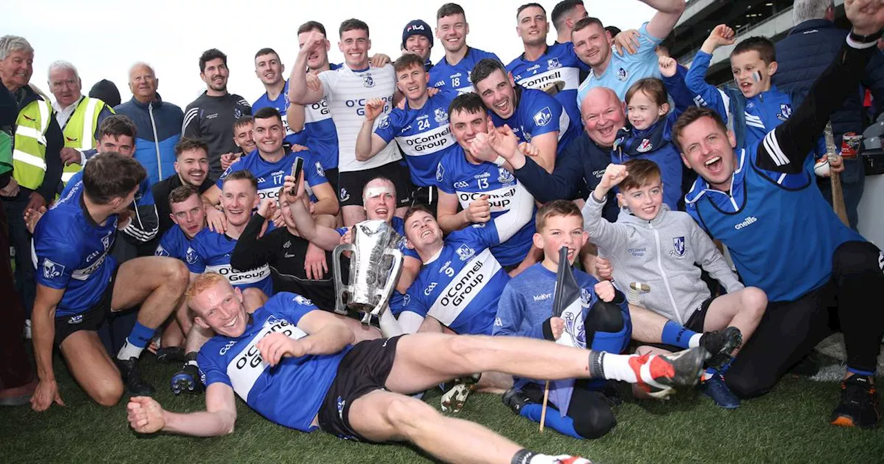 Sarsfields end nine year drought to beat Midleton to the Cork hurling title