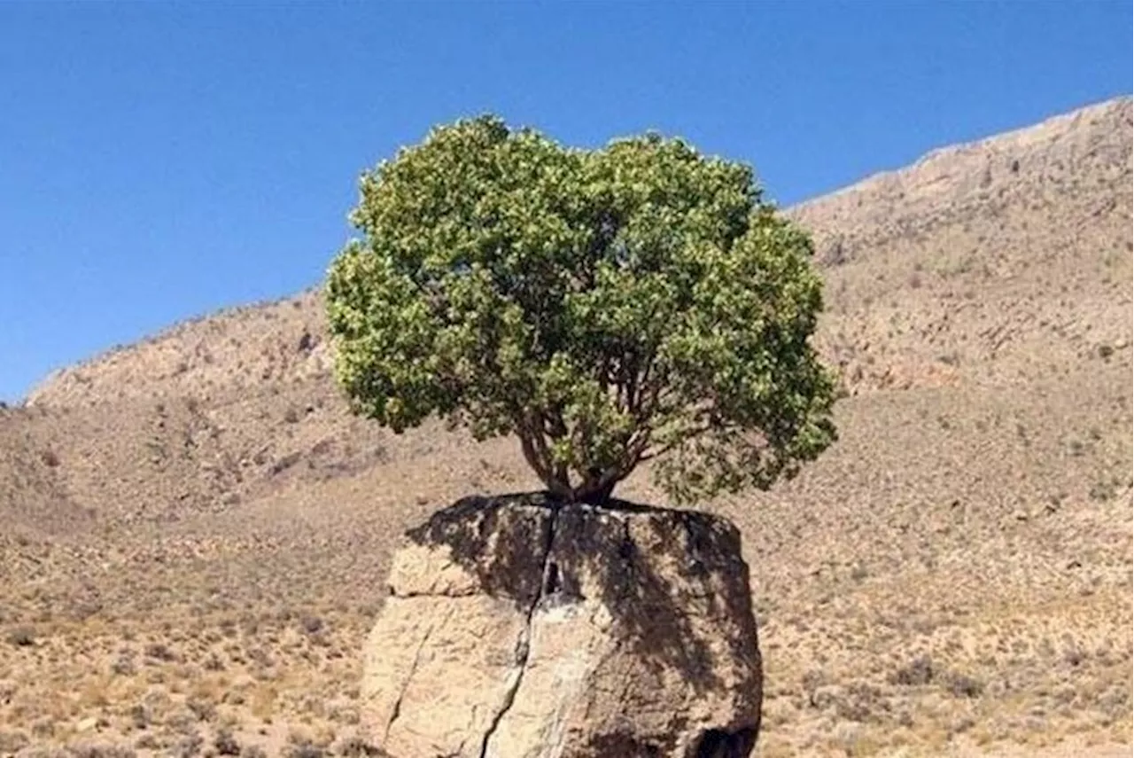 ثبت ۲ میراث طبیعی فارس در فهرست آثار ملی ایران