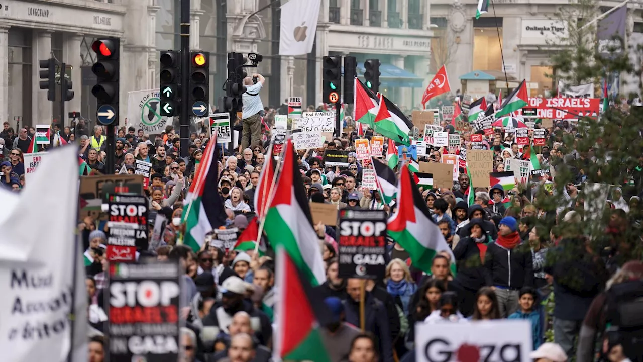 Man to face court accused of making racist comments at pro-Palestine march in London