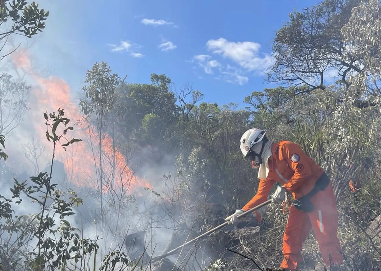 Incêndios florestais atingem Chapada Diamantina e outras áreas do interior da Bahia; cerca de 200 bombeiros atuam no combate