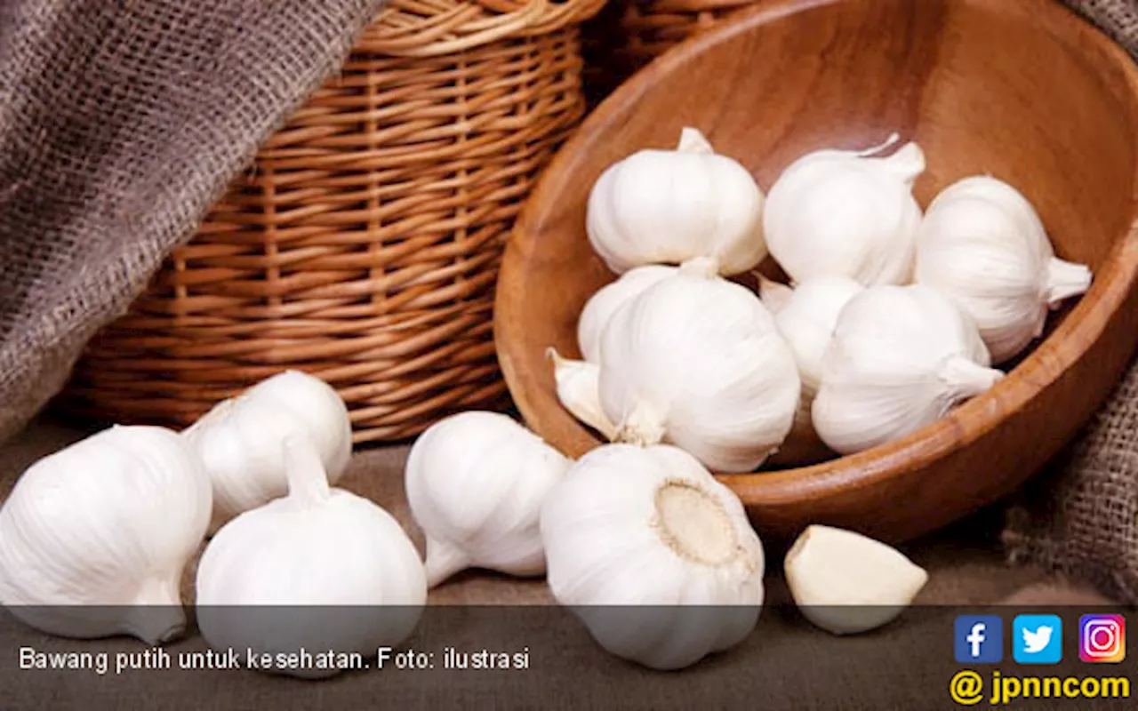 5 Efek Samping Makan Bawang Putih Berlebihan untuk Kesehatan yang Tidak Terduga