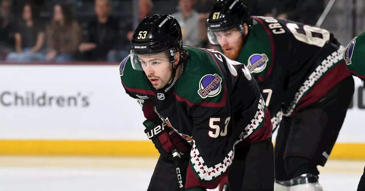 Coyotes bring fresh faces and playoff ambitions entering promising 2023-24 season