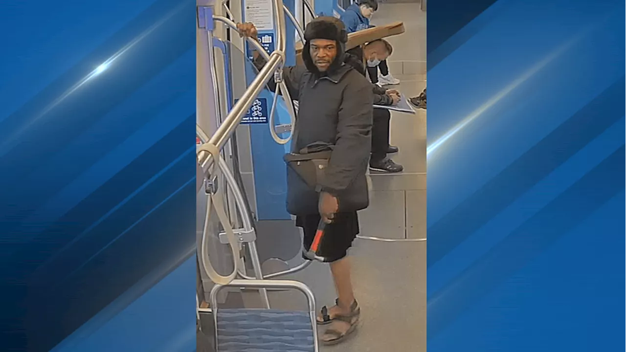 $1 million bail set for man arrested in Beacon Hill light rail hammer attack