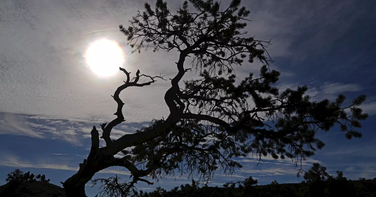 'Ring Of Fire' Eclipse