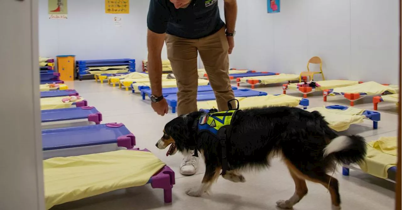 Au Pontet, on chasse les punaises de lit à l'école grâce à un chien détecteur de nuisibles