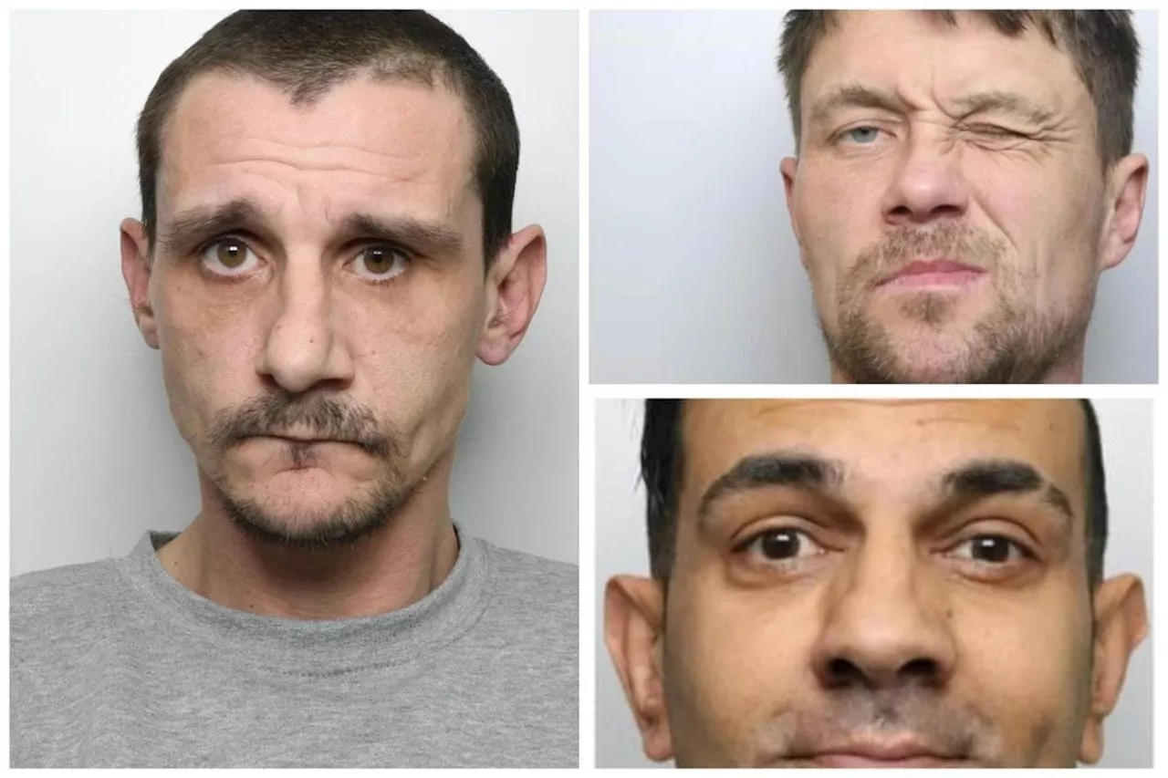 Leeds Crown Court: 15 criminals sentenced this week including dangerous sex predator who attacked grandmother