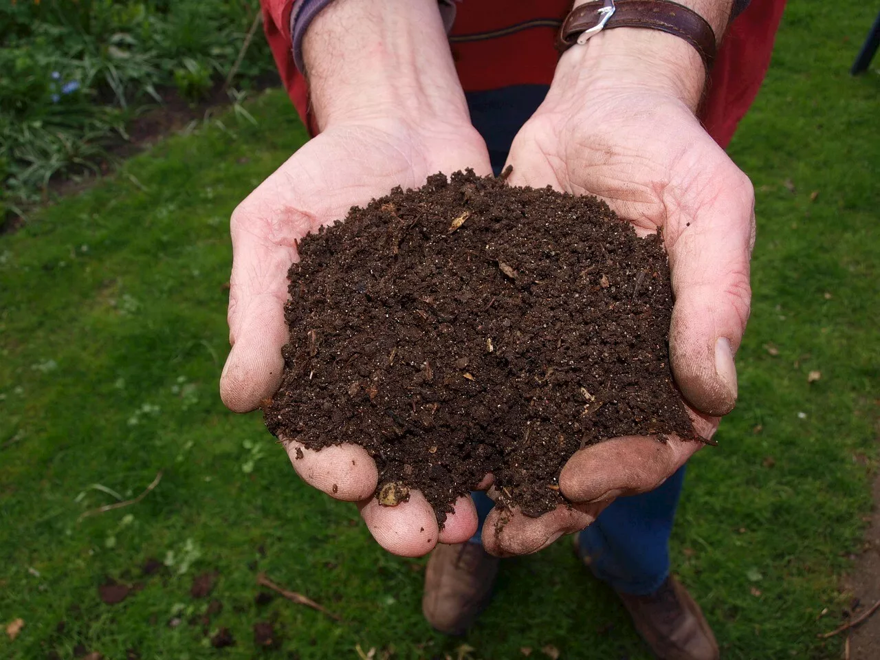 Métropole de Lille : voici comment récupérer gratuitement du compost