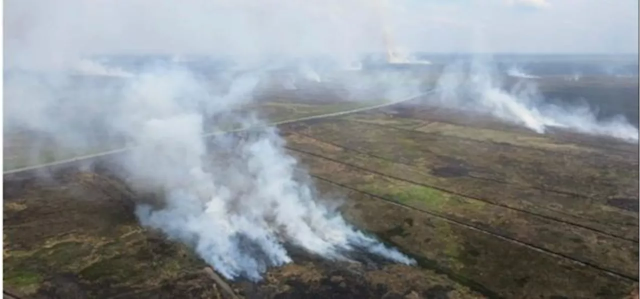 20 Hektar Areal Perkebunan di Cilacap Terbakar