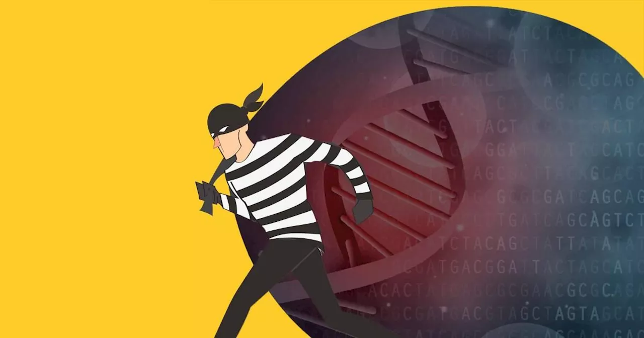 Hackers stole a million people's DNA. But what will they do with it?