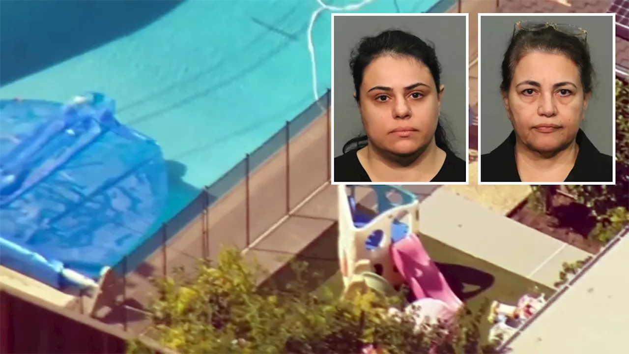 Day care owners arrested after 2 children drown in pool in California