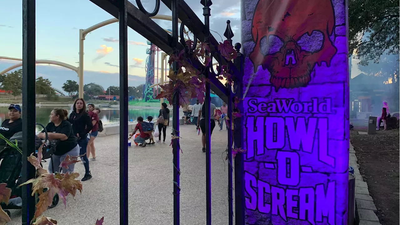 Seaworld Serves Up Screams Howl O Scream Transforms Park Into A Haunted Haven