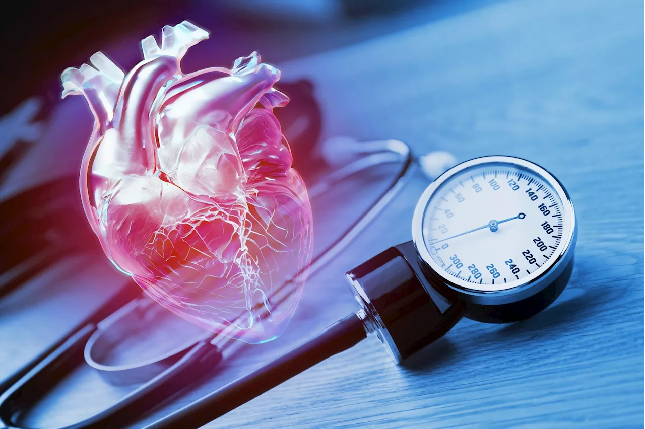 Hormones and high blood pressure: Study reveals endocrine culprits and targeted treatments