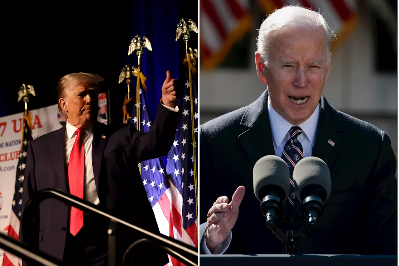 Donald Trump Beats Joe Biden in 2 Pivotal Swing States: New Poll