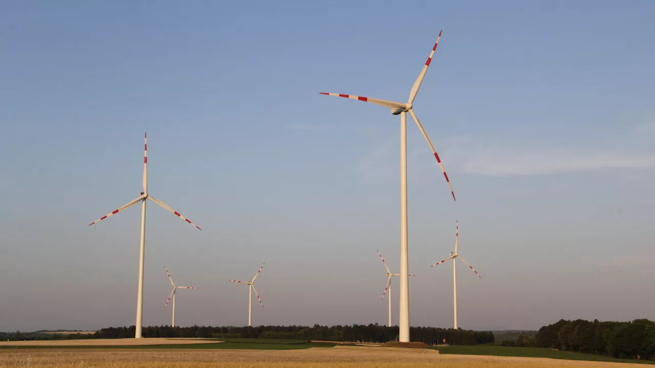 Volksbefragung: Bürger stimmten für Windräder