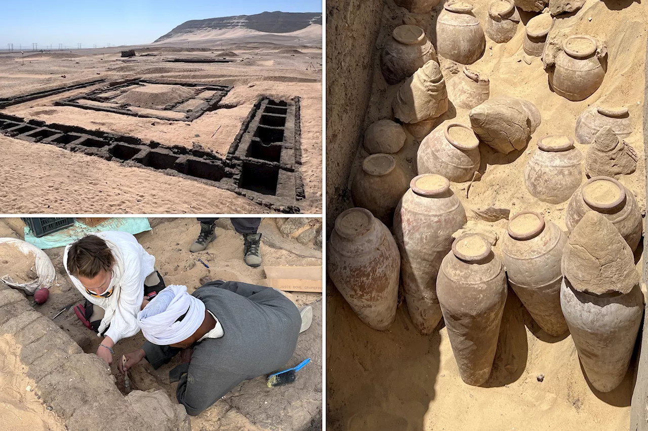 5,000-year-old wine unearthed in Egyptian queen's tomb — behind the 'exciting' discovery