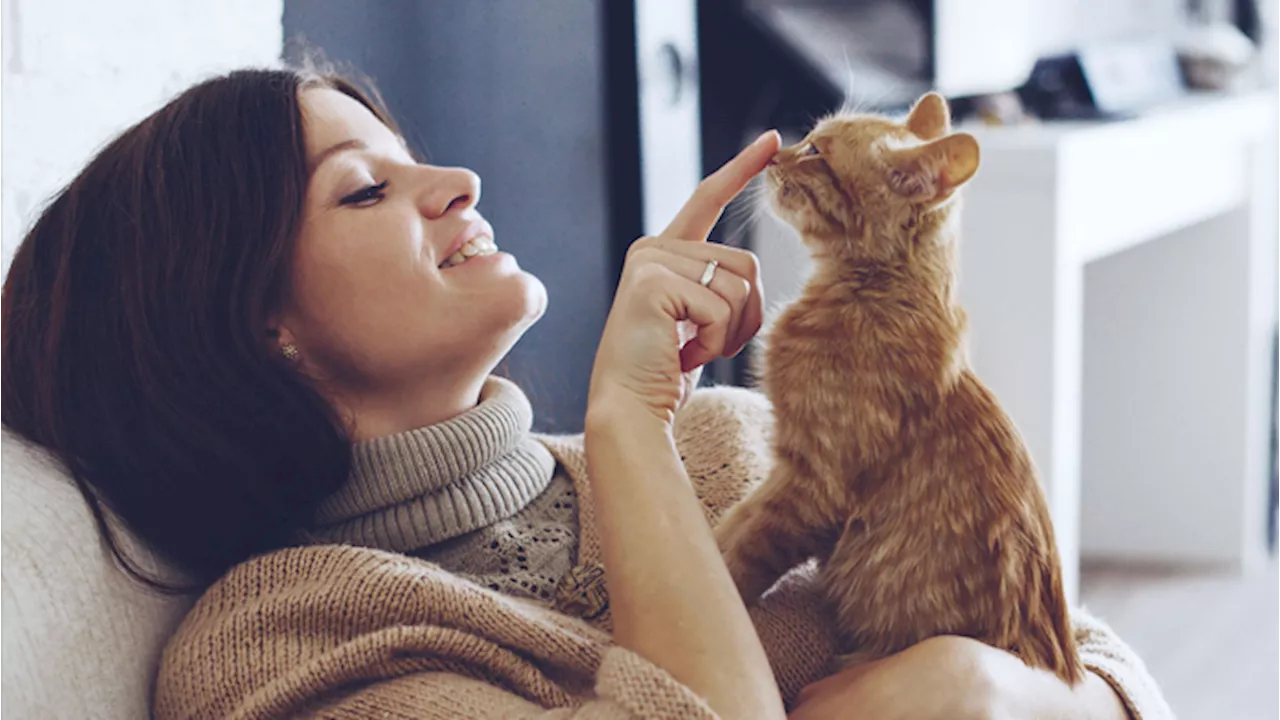 Amare “troppo” gli animali: quando cani e gatti prendono il posto degli umani