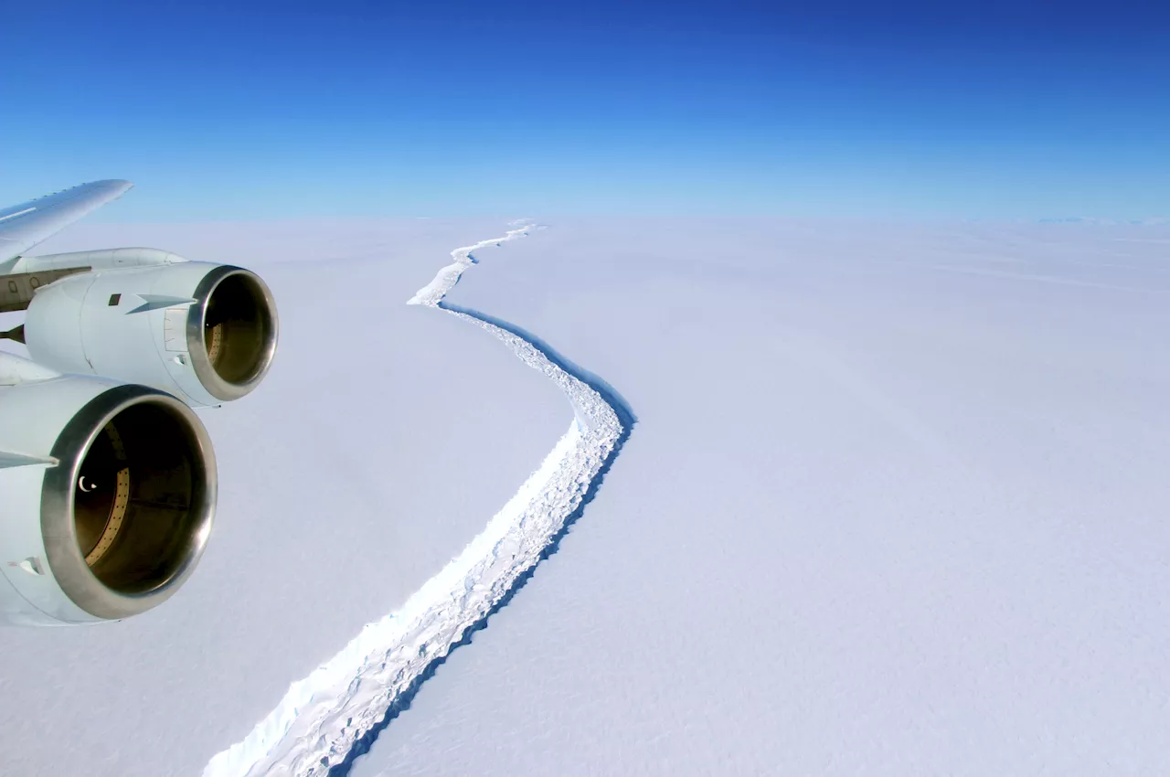 Scientists count huge melts in many protective Antarctic ice shelves. Trillions of tons of ice lost.