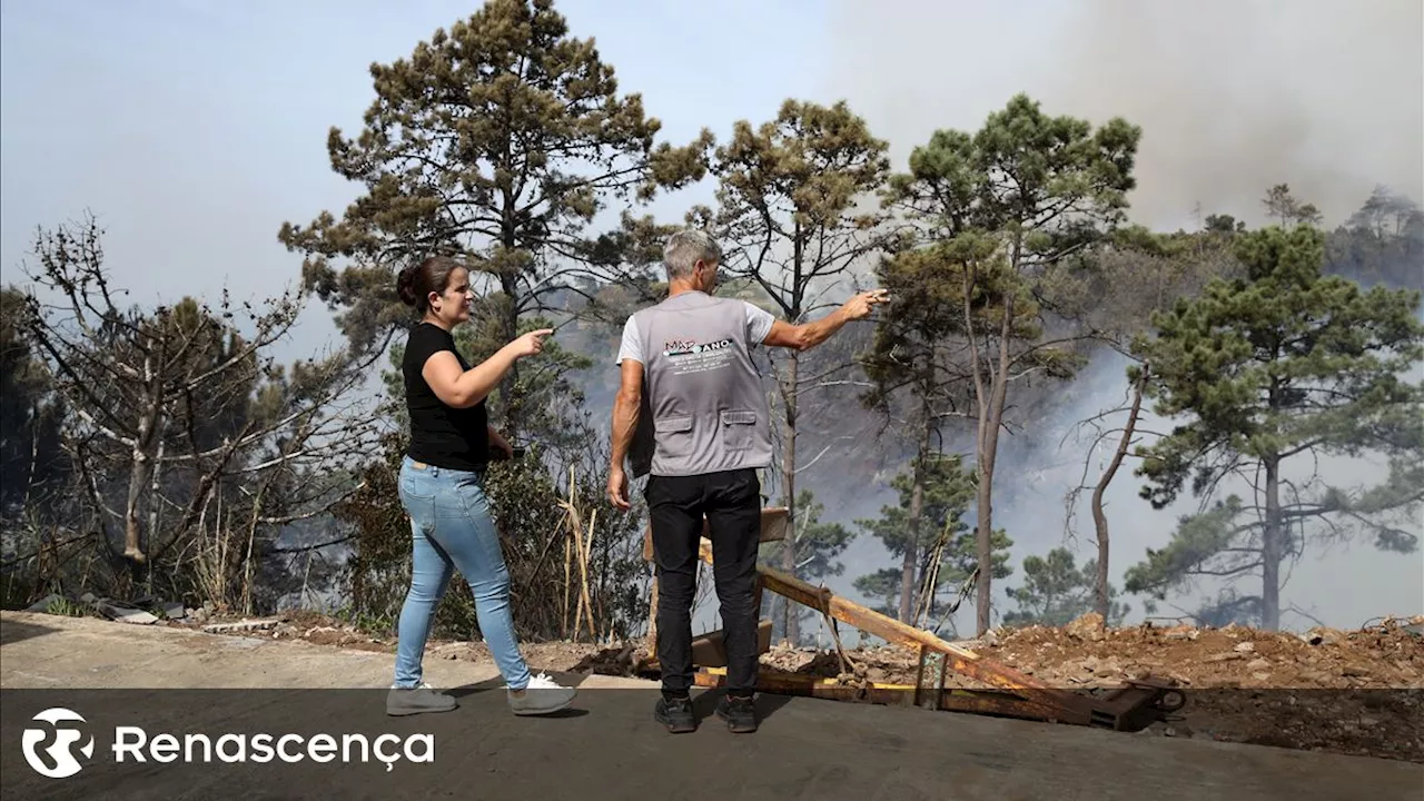 Madeira. Focos de incêndio encontram-se em fase de rescaldo e vigilância ativa