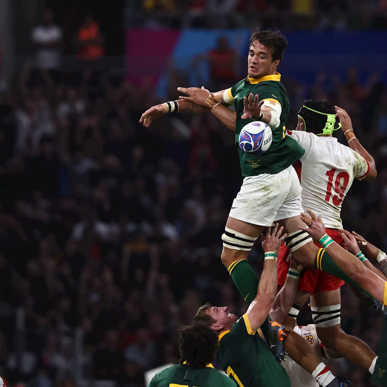 France-Afrique du Sud : les Springboks, 'entre jeu physique et mouvement', prévient Brian Liebenberg