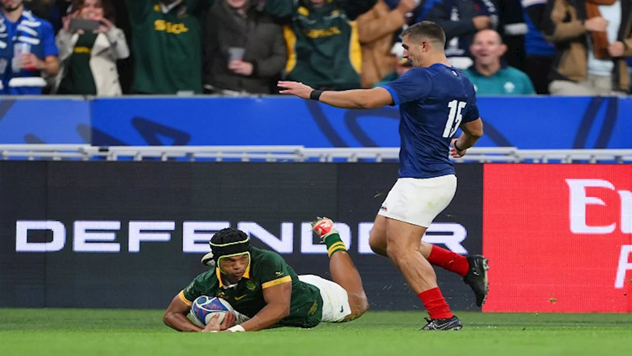 Springboks edge out France in World Cup battle royale - SABC News - Breaking news, special reports, world,