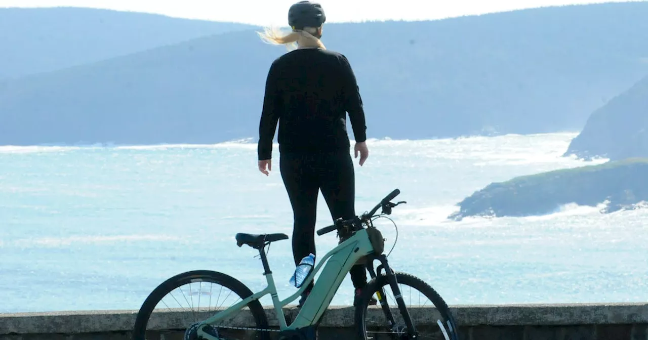 Things to know to help shape your week in Newfoundland and Labrador