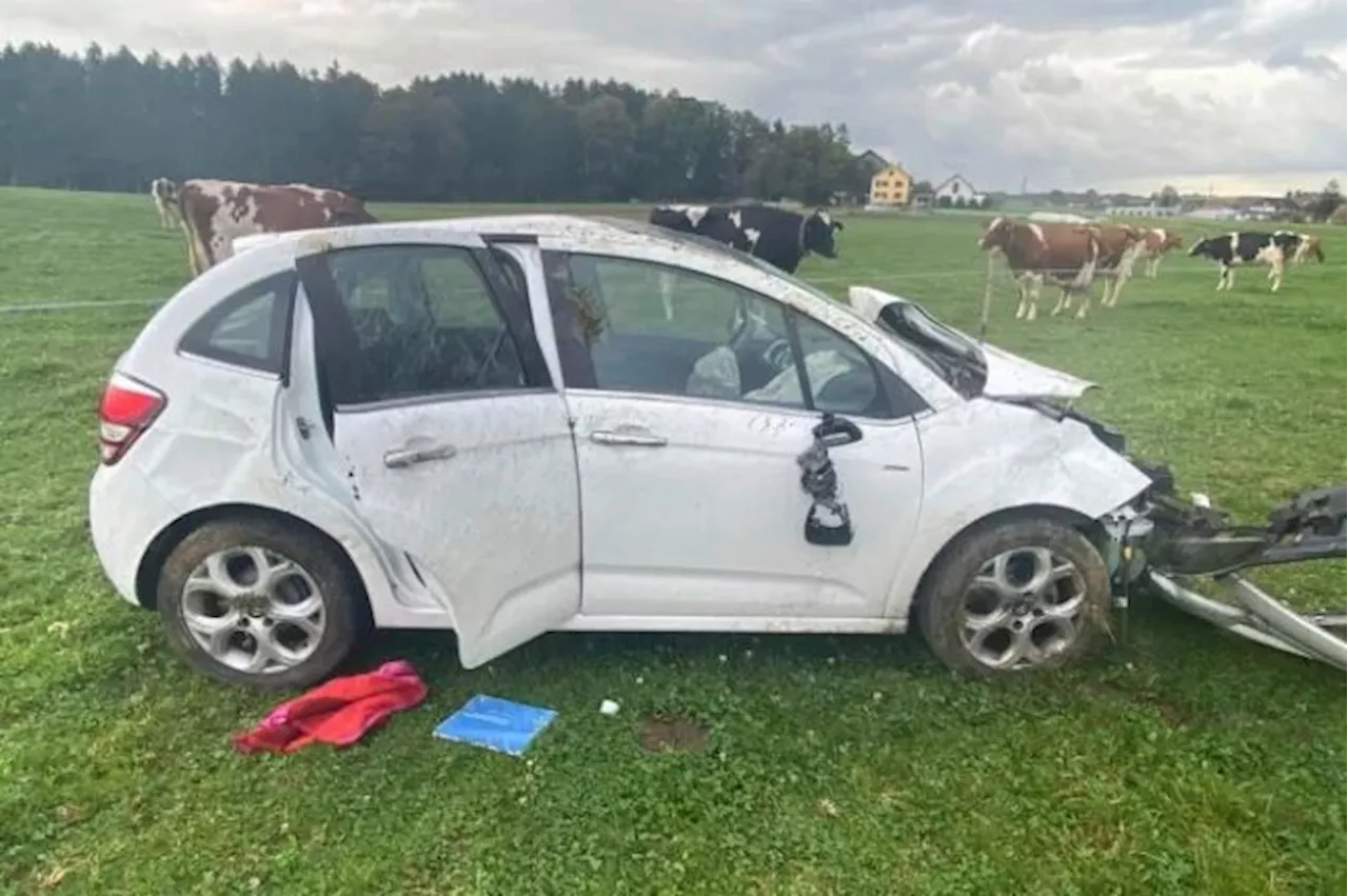 Auto landet auf Weide