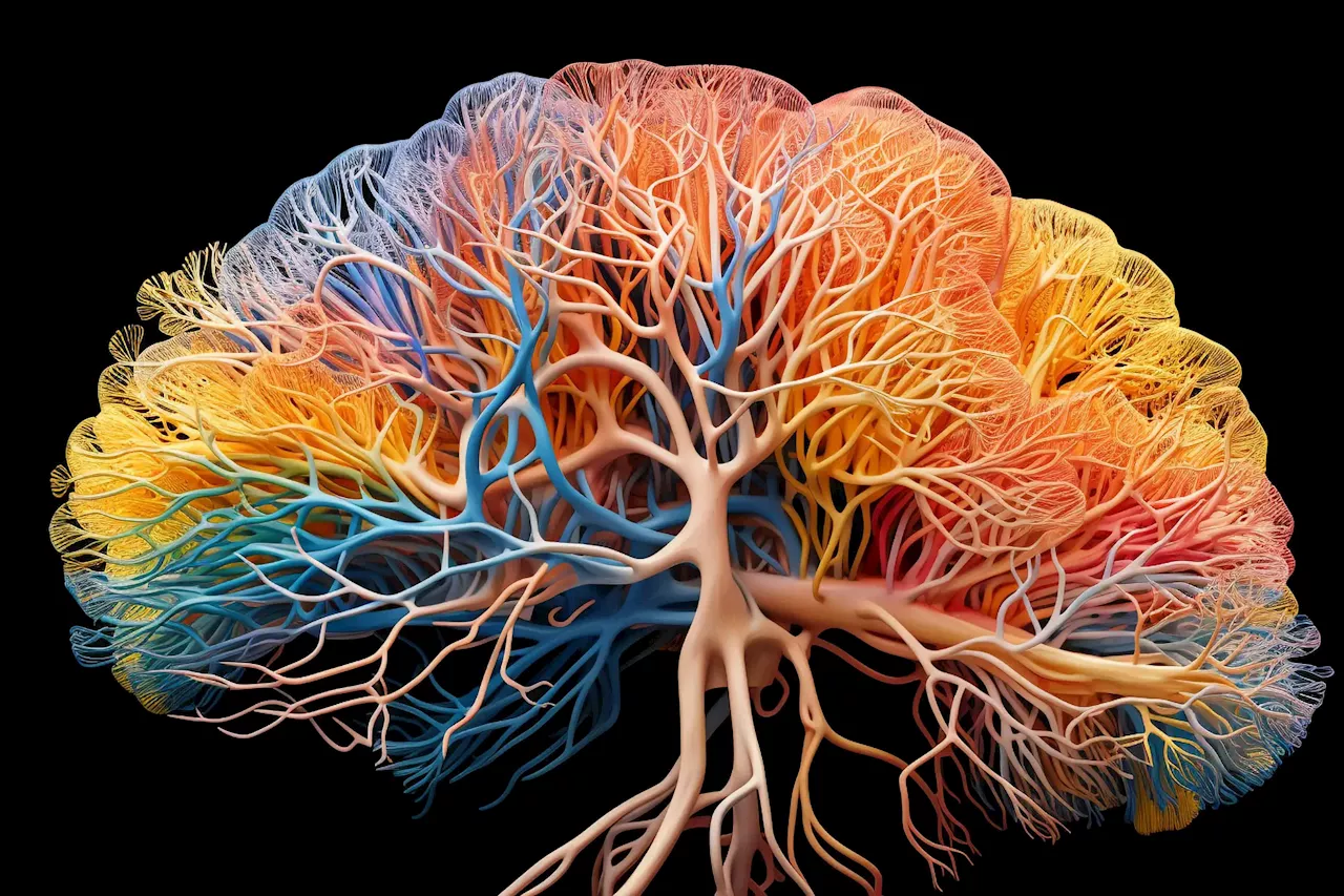 Decoding the Human Brain: Detailed Cell Maps Pave Way for Next-Gen Therapies