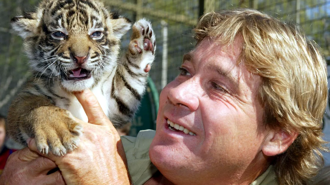 'Dad would be stoked': Steve Irwin's son breeds rare turtle named after late TV star