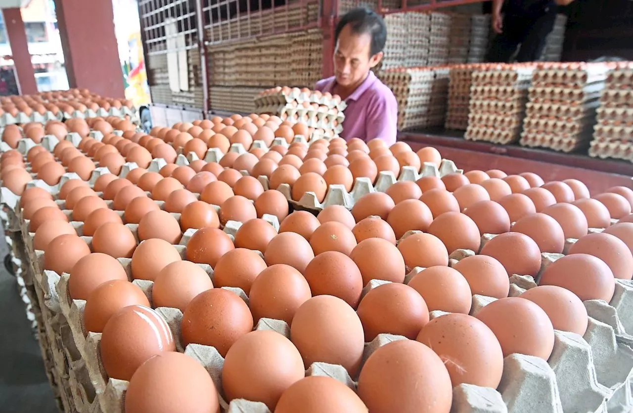 Egg and chicken prices may go up