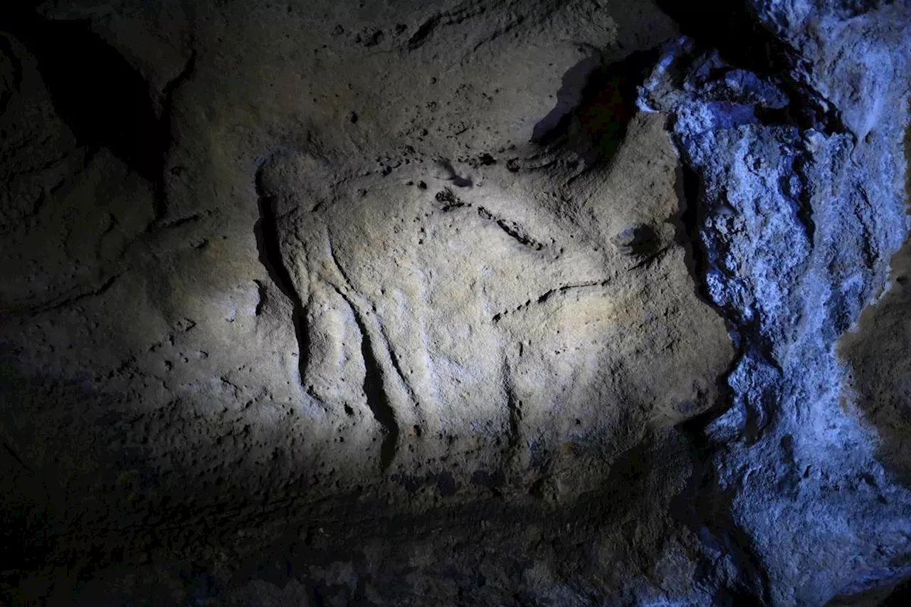 Dordogne : « C’est une pépite », la grotte du mammouth rachetée par le « collectionneur de falaises » Jean-Max Touron