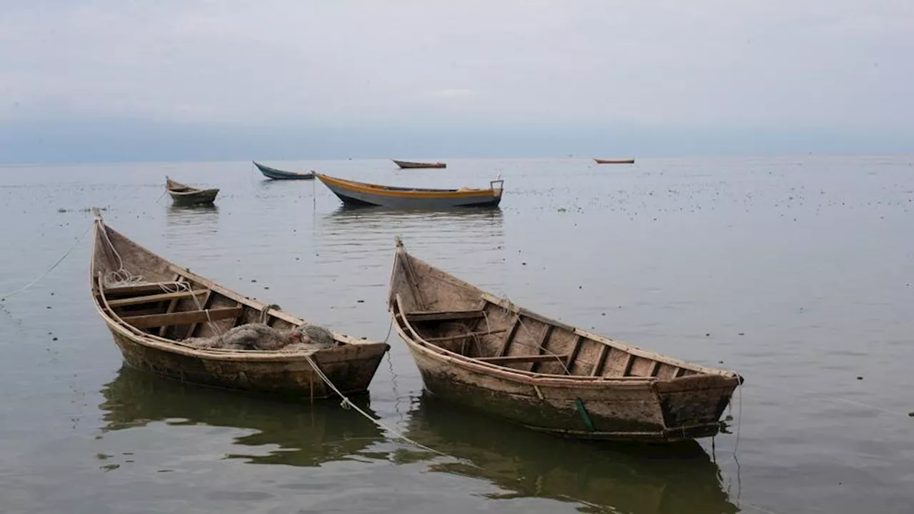 At least 28 people dead in Democratic Republic of Congo shipwreck