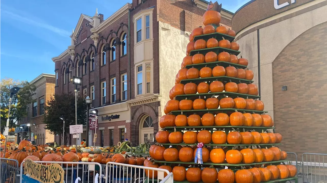 2023 Circleville Pumpkin Show Event schedule, parade route, live video