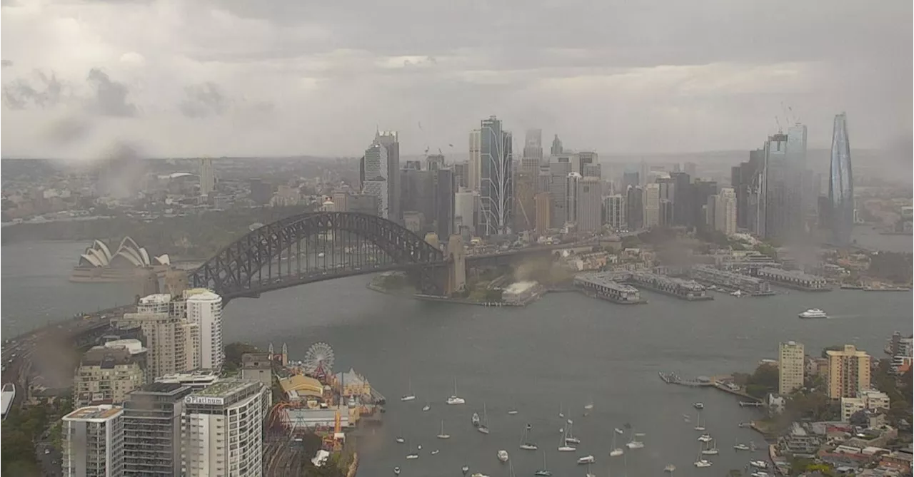 Trees downed and trains cancelled as Sydney hit by wild storm