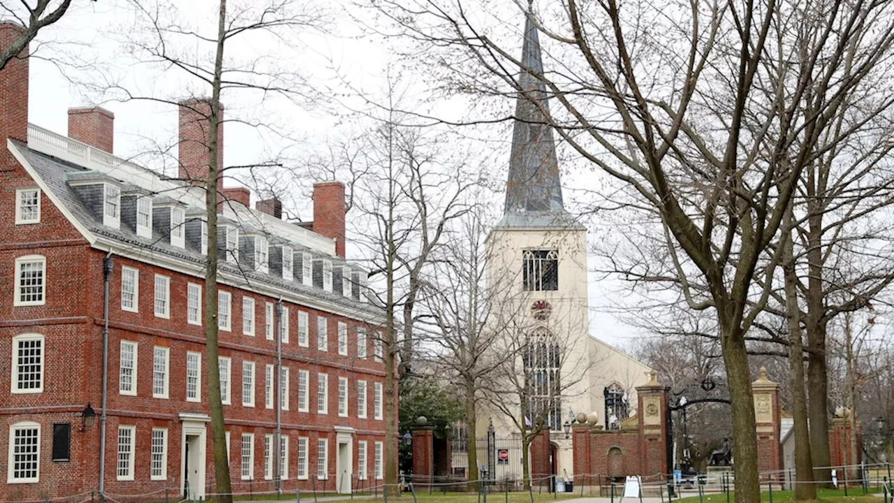 As debate rages on campus, Harvard's Palestinian and Jewish students paralyzed by fear