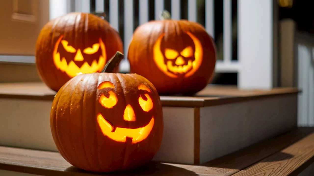 LIST: Halloween events happening across Bay Area