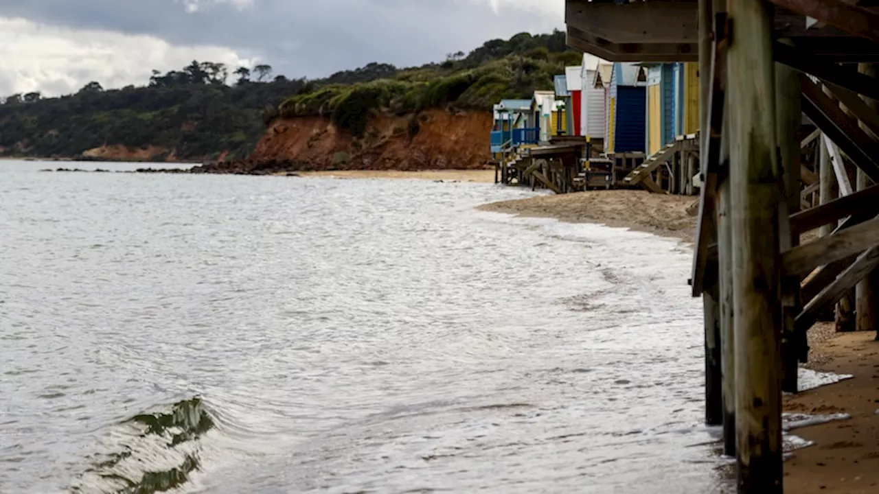 How one boatshed tells the story of Victorian coastal areas preparing for sea level rises