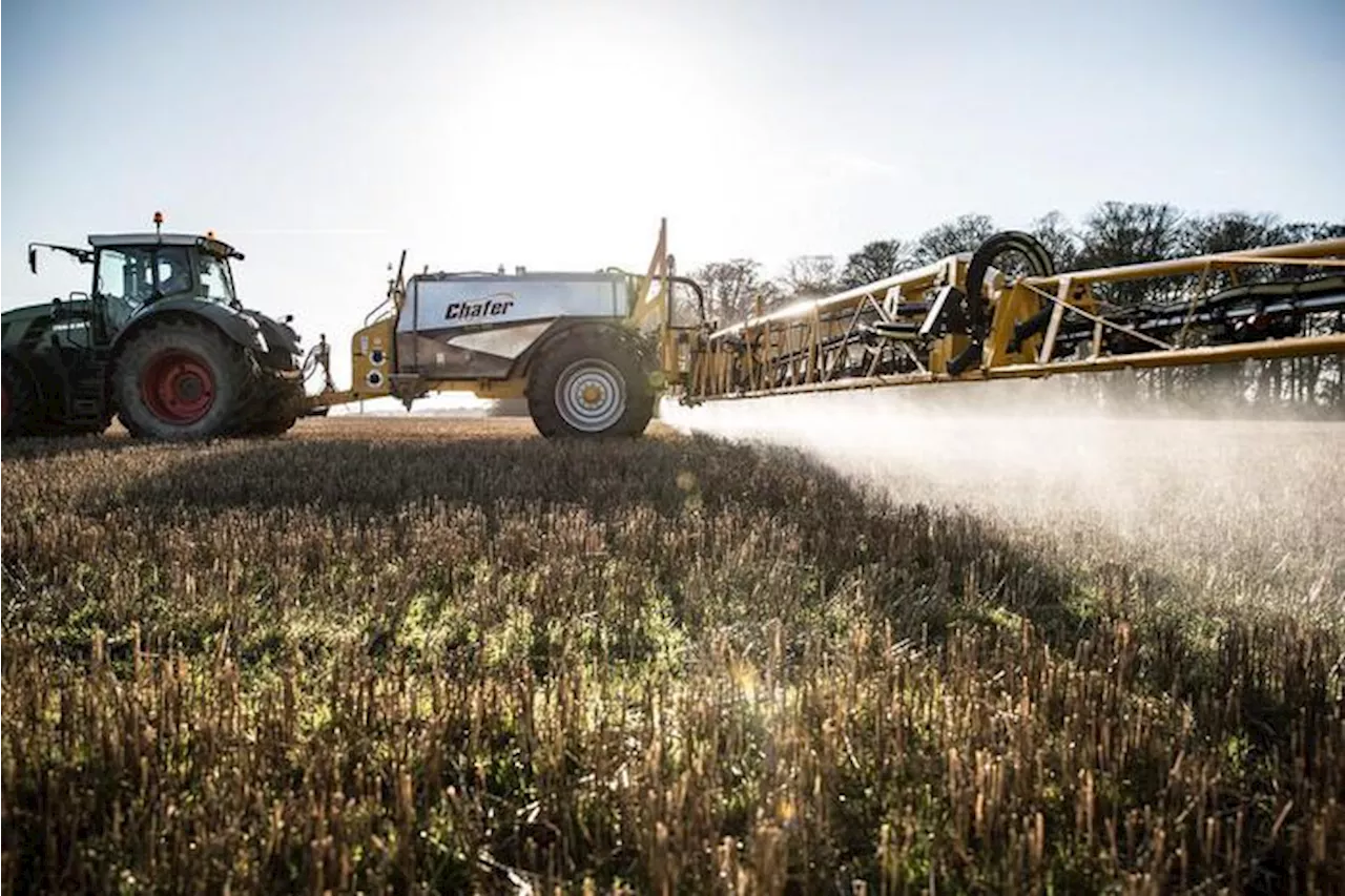 Giornata Alimentazione, il Wwf manifesta contro i pesticidi