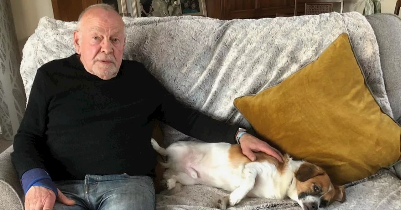 Panic posts about 'senile pensioner' lost in Belfast with dog are global scam