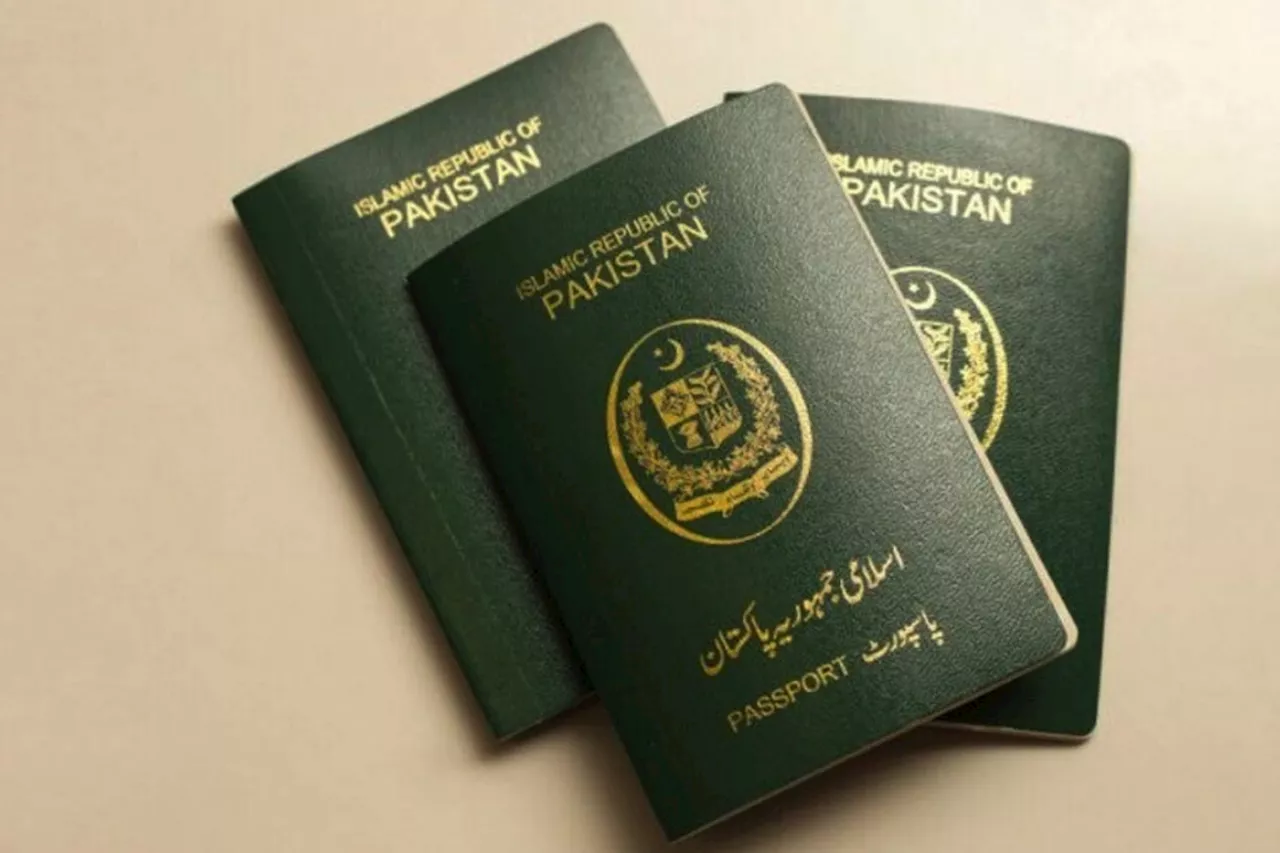 5-member committee forms to probe recovery of passports in KSA