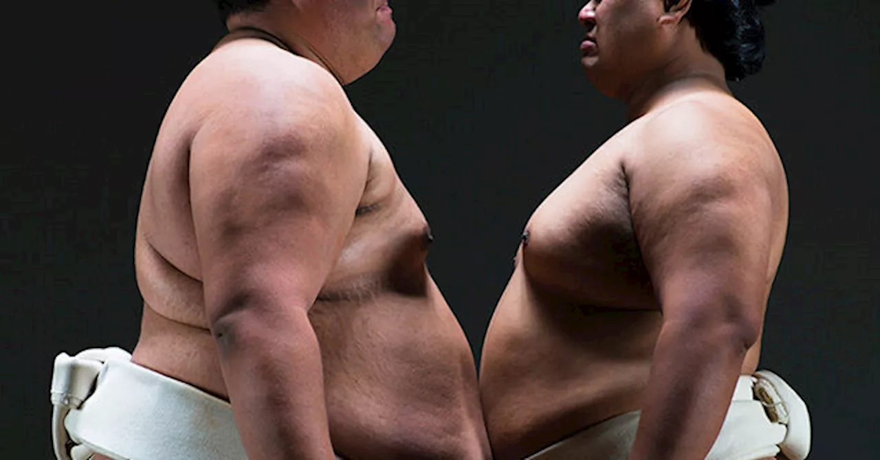 Sumo Wrestler Group Deemed Too Heavy to Fly, Airline Books Extra Flight