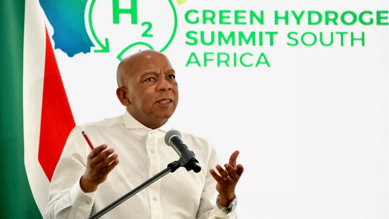 Electricity minister sceptical of green hydrogen's role in SA's energy plan