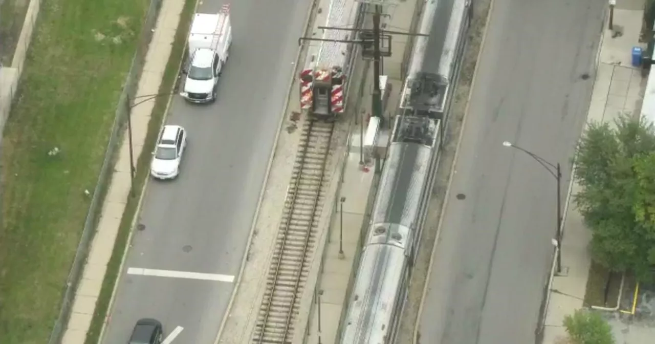 Metra Electric District trains halted due to downed power lines