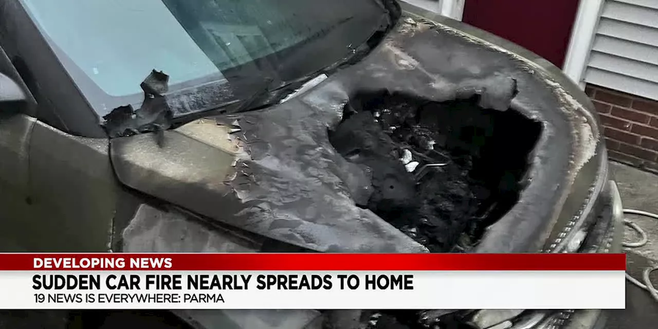 Parma family’s car catches fire without explanation