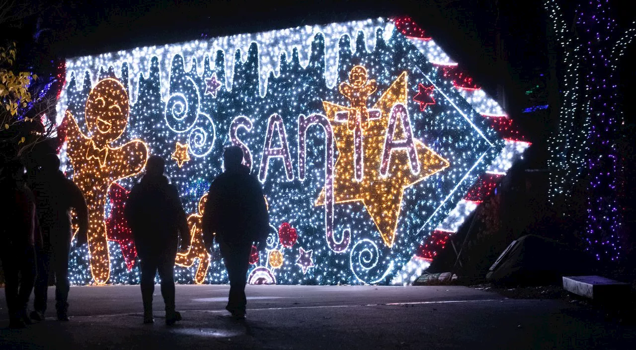 Wild Winter Lights returns on Nov. 14 to Cleveland Metroparks Zoo