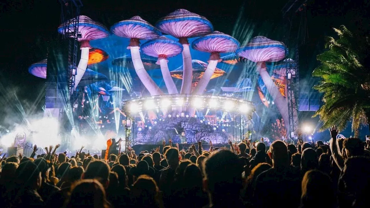 Tomorrowland Brasil é confirmado para 2024; saiba quando