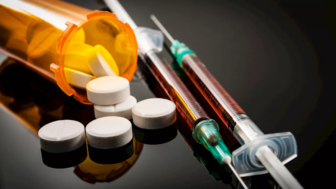 Opioid deaths continue at high levels: federal report - constructconnect.com
