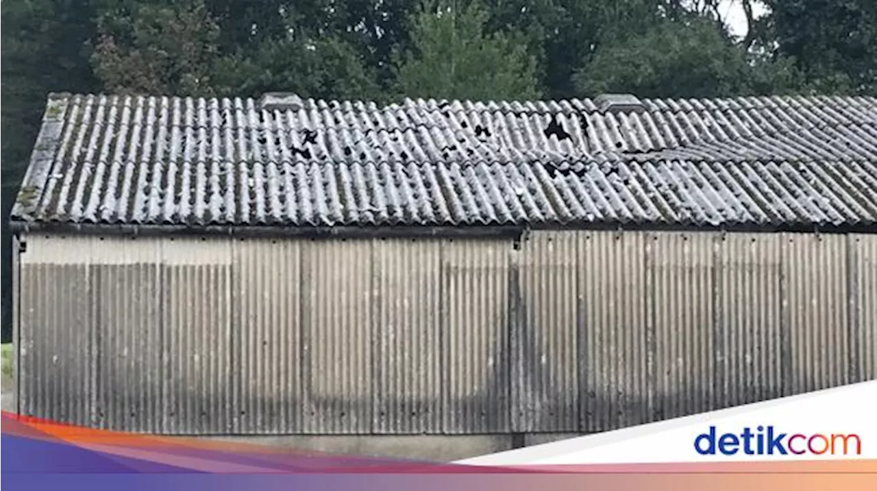 Mengenal Atap Fiber Beserta Kelebihan dan Kekurangannya