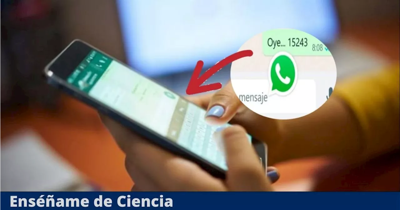 Esto es lo que significa el número 15243 en un mensaje de WhatsApp