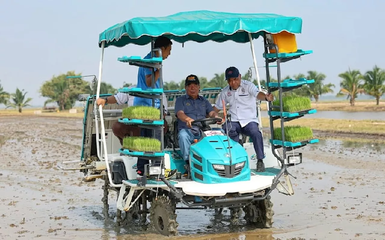 Switch to padi output subsidies in the works