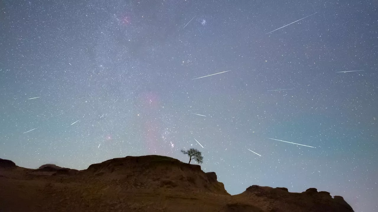 Halley’s Comet, Last Seen In 1986, Will Unleash ‘Shooting Stars This Weekend—How To Watch